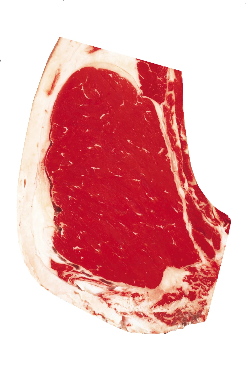 USDA small official marbling reference